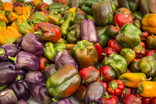 Peppers at farmers market