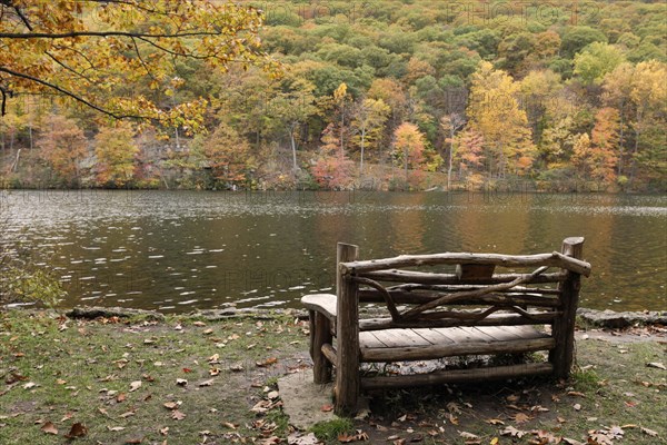 Wooden bench in Bear Mountain park