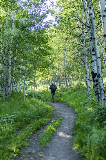 Senior man hiking in forest