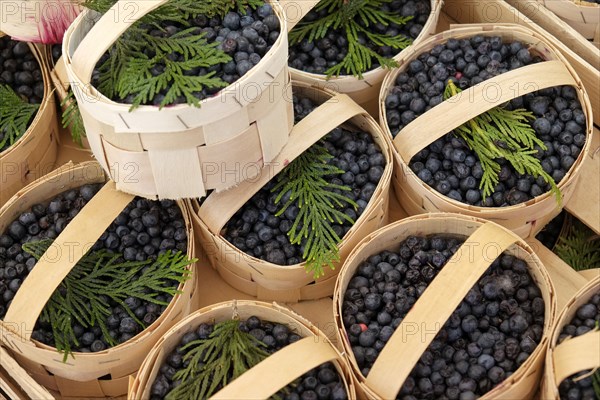 Baskets with blueberries at farmers market