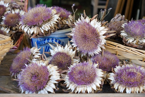 Dried artichoke flowers at farmers market