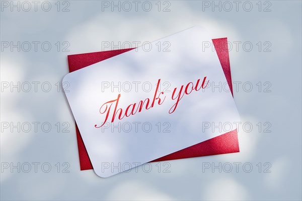 Overhead view of Thank you card and envelope