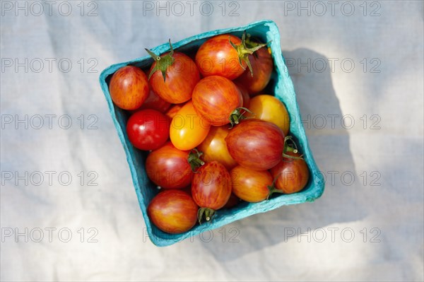 Overhead view of ripe red and yellow cherry tomatoes in carton