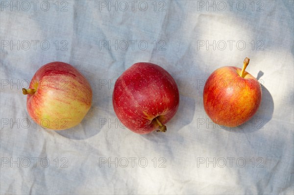 Overhead view of three ripe red and yellow apples