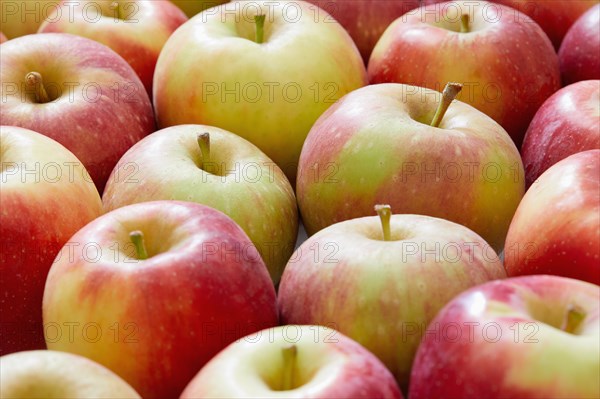 Close-up of ripe and colorful apples