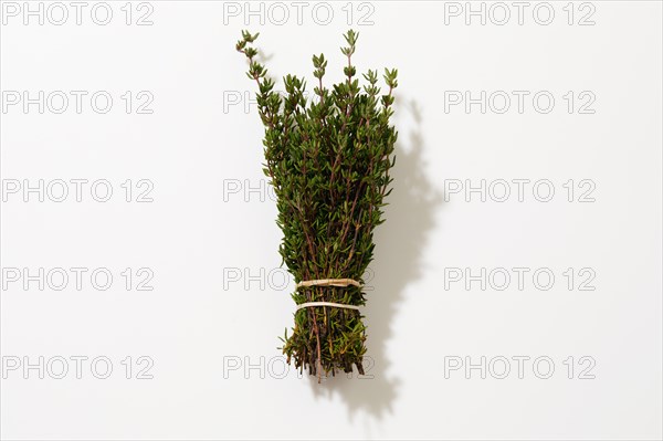 Bunch of fresh thyme on white background