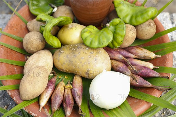 Display of regional Mexican vegetables with leaf decoration