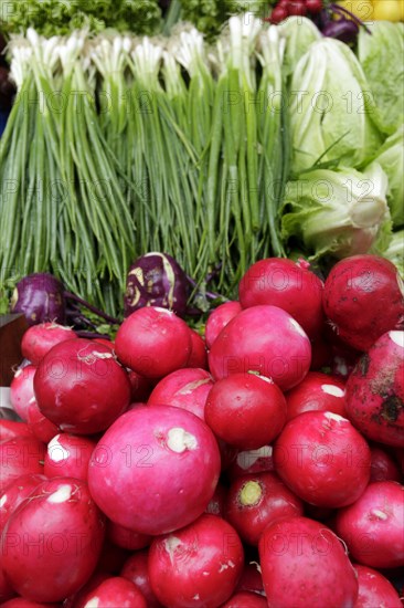 Fresh vegetables at farmers market