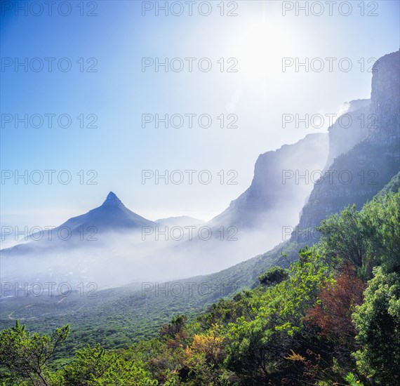 Lions Head peak seen from slopes of Table Mountain