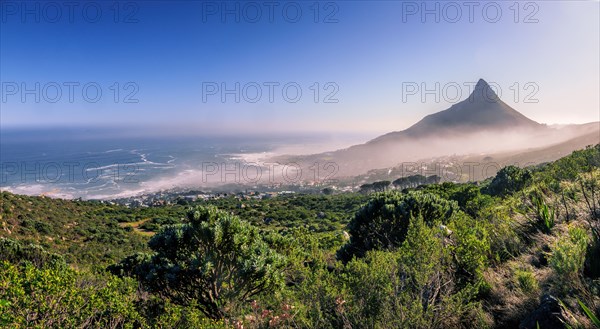 Lion's Head peak seen from slopes of Table Mountain