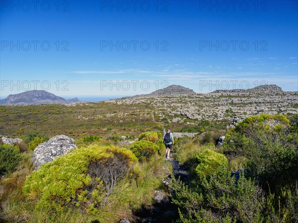 Mature woman hiking at sunny day