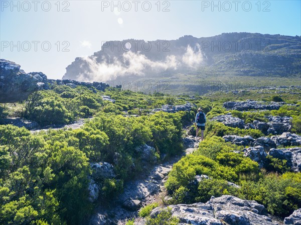 Mature woman hiking at sunny day