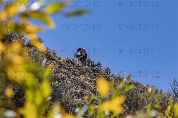 Woman using binoculars to search for wildlife