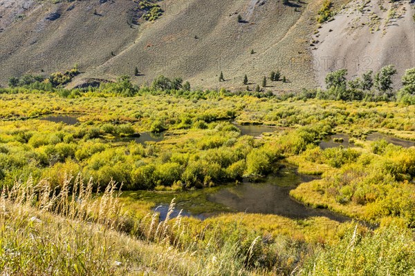 Beaver ponds in fall