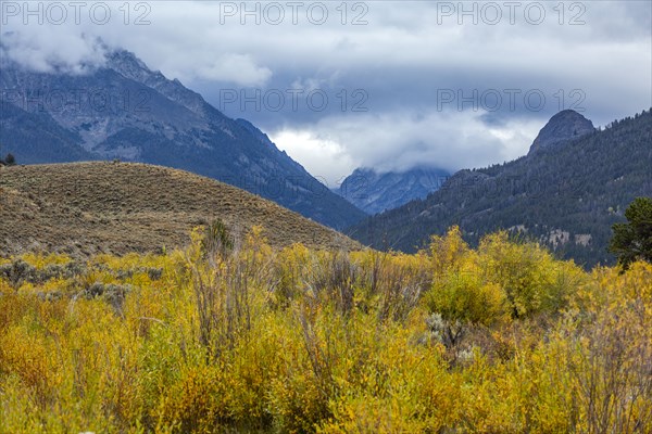 Fall foliage and storm clouds in wilderness