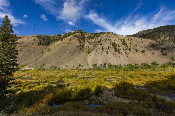 Beaver ponds in valley