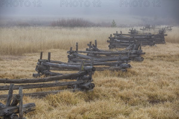 Rural scene with rail fence