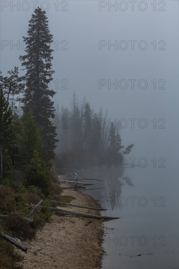 Foggy lake shoreline in mountains