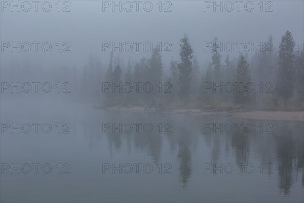 Trees reflection in lake at foggy autumn day