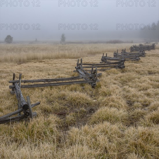 Rural scene with rail fence