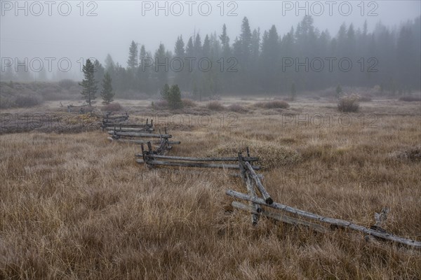 Rural scene with rail fence and forest