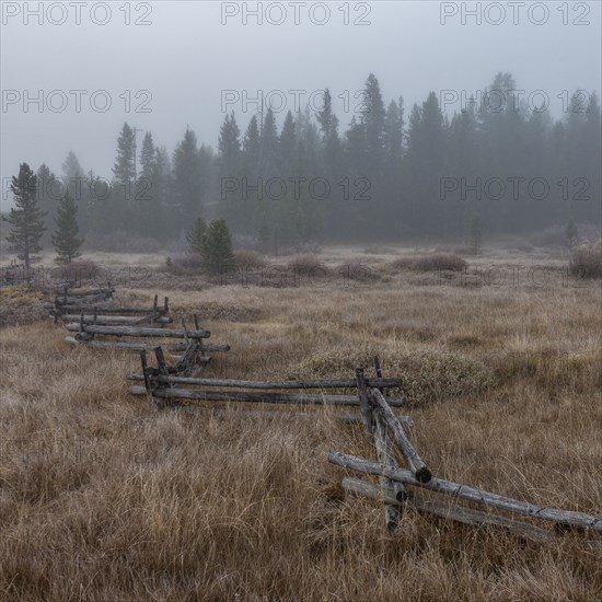 Rural scene with rail fence and forest