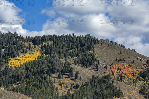 Fall in mountains