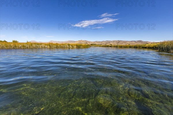 Pristine waters of spring creek