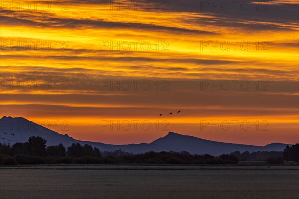 Sunrise over foothills