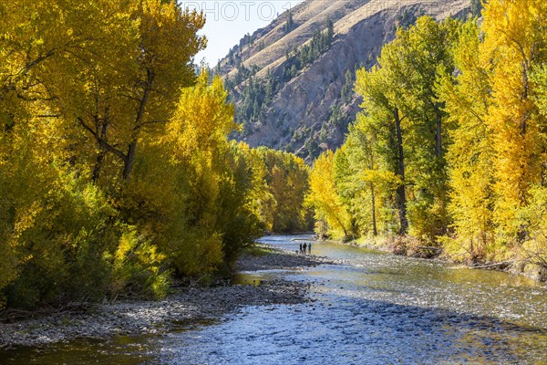 Distant view of family admires fall along river in autumn