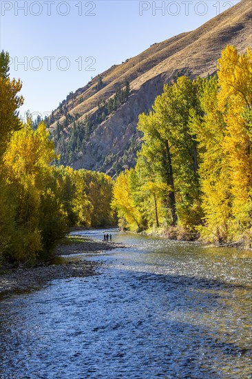 Distant view of family admires fall along river in autumn