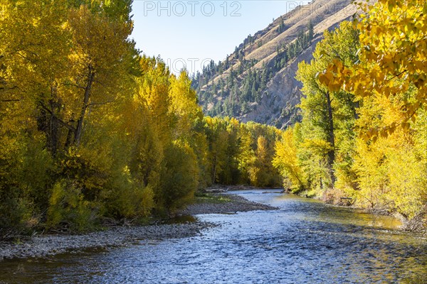 Big Wood river in fall