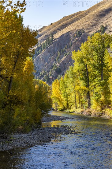 Big Wood River in fall