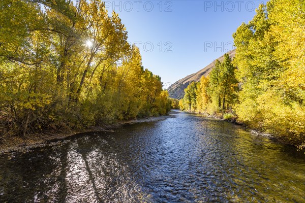 Big Wood River in fall