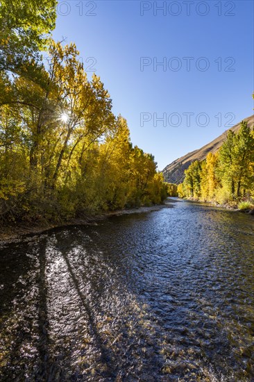 Big Wood River in fall