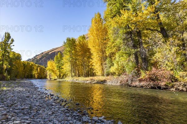 Big Wood River in fall