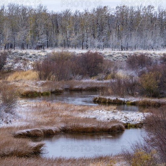 Seasonal change in landscape