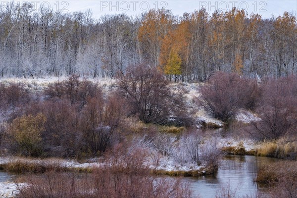 Seasonal change in landscape