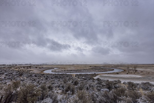 Winter sky over spring creek