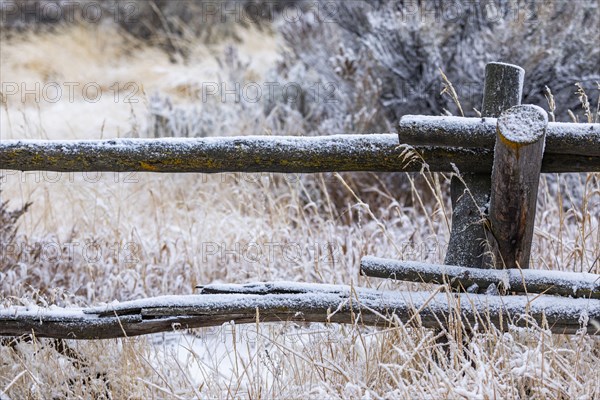 Fresh snow on old rail fence