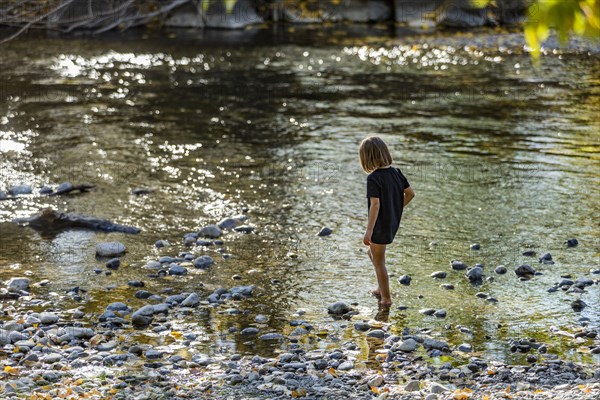 Girl exploring river shallows in summer