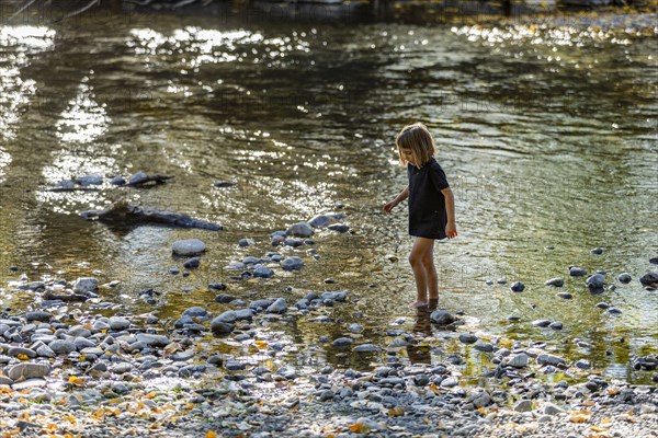 Girl exploring river shallows in summer