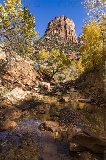 Creek and autumn foliage