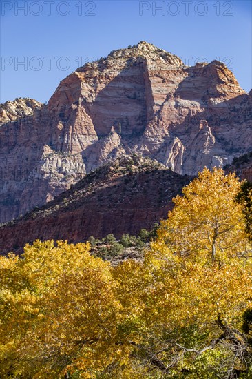 Mountains and autumn foliage