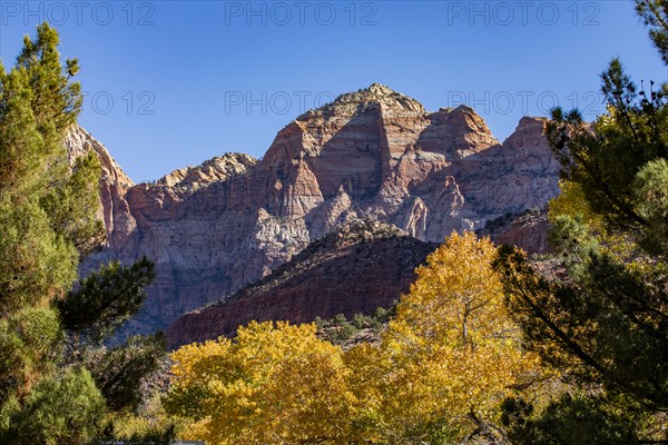 Mountains and autumn foliage