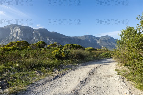 Dirt road and Klein mountains
