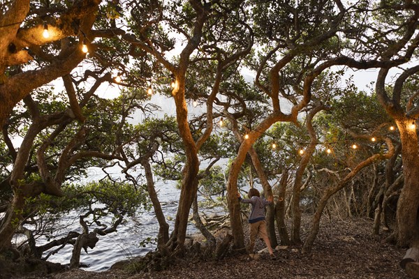 Boy standing among trees at lagoon