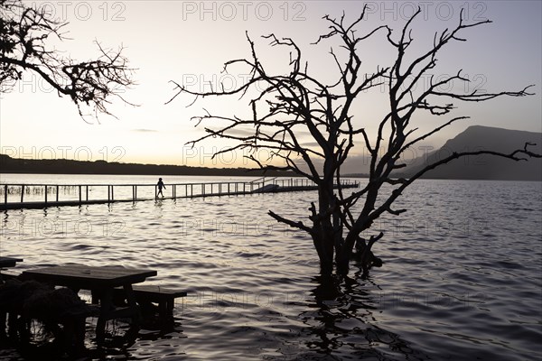 Boy walking on pier at lagoon