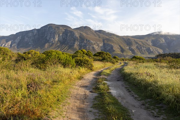 Dirt road leading to Klein Mountains