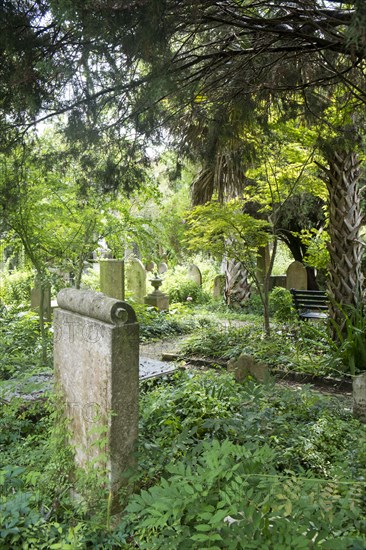 Old church graveyard with lush foliage